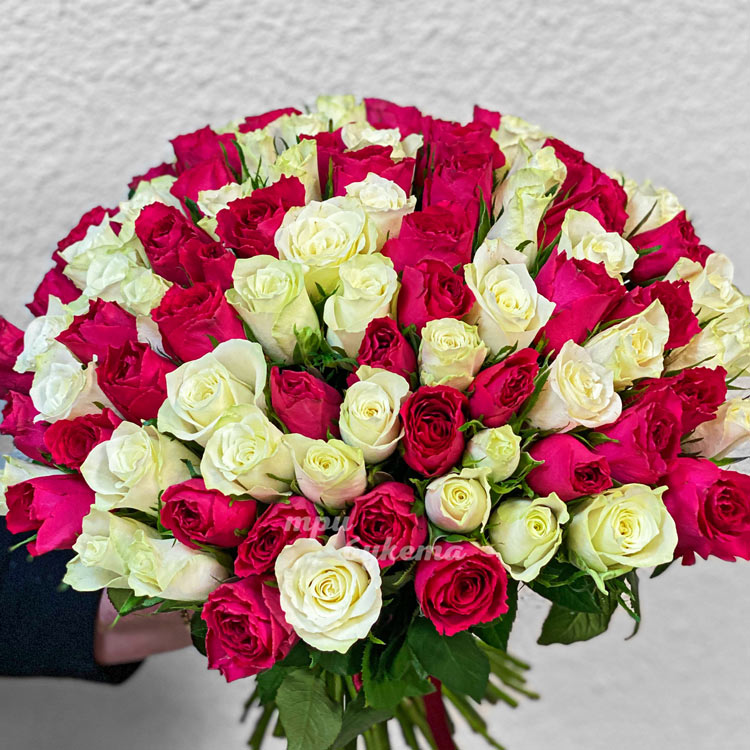 101 бело-розовая роза 50 см (крупный план)